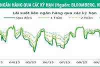 Kl99kl Hoàn Trả Vô Tận 3 năm trả lãi dài được chào đón