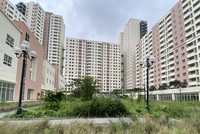 TP.HCM: Chuyển giao việc quản lý vận hành quỹ nhà ở, đất ở thuộc sở hữu 99Kl99 trực tiếp đá gà