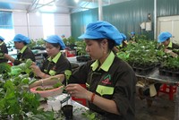 Nafoods Group (NAF) báo lãi quý IV/2024 tăng 85% so với cùng kỳ 