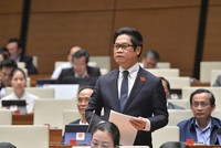 Đại biểu Vũ Tiến Lộc (Thái Bình) phát biểu tại phiên thảo luận. 
