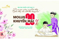 Mollis khuyến mãi mừng ngày Nhà Giáo Việt Nam 20/11