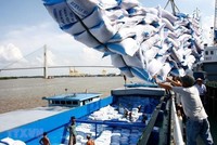 Với việc EVFTA được thông qua, EU dành cho Việt Nam một hạn mức 80.000 tấn gạo mỗi năm với mức thuế 0%, xuất khẩu gạo vào EU có thể tăng gấp 4 lần. (Ảnh: TTXVN)