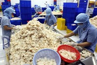 Nhà máy Kl994 nhà cái bóng đá world cup của Sa Giang