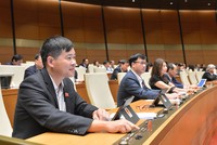Các đại biểu Quốc hội bấm nút biểu quyết thông qua Nghị quyết về tổ chức chính quyền đô thị TP. HCM
