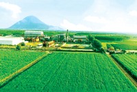 Dù ngành đường gặp rất nhiều khó khăn trong năm 2020, nhưng SBT vẫn có kết quả Kl992 VIP Trang Chủ 2026 khả quan trong niên vụ 2019 - 2020 nhờ định hướng phát triển bền vững đề ra từ trước