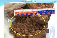 Mẫu vật phẩm