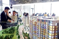 Căn hộ vừa túi tiền và đất nền vẫn sẽ được nhà Kl99ok phiên bản mới lựa chọn