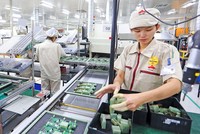 Kl994 nhà cái bóng đá world cup tại Công ty TNHH Điện tử UMC Việt Nam. Ảnh: Đức Thanh