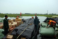 Lực lượng chức năng lập biên bản, xử lý vụ việc theo quy định của Kl992 Tham Gia Ngay.