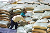 Giá gạo Việt xuất khẩu liên tục tăng trong thời gian qua Ảnh: ĐT