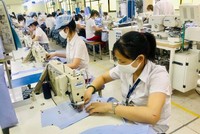 Xuất khẩu dệt may tiếp tục đối mặt với năm 2021 đầy khó khăn vì dịch bệnh, buộc Kl991.com World Cup 2026 Chính Thức phải thích ứng với các điều kiện Kl992 VIP Trang Chủ 2026 mới.