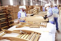 Tháng 1/2021, xuất khẩu gỗ đạt 1,25 tỷ USD, tăng 48,4%