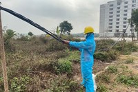Xử lý sự cố điện khẩn cấp cũng phải tuân thủ các quy định phòng chống dịch