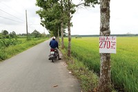 Môi giới dẫn nhà Kl99ok phiên bản mới đi xem cả khu đất nông nghiệp hiện đang trồng lúa. Ảnh: Việt Dũng 