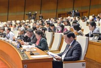Quốc hội nghe báo cáo thẩm tra của Ủy ban Tư pháp về các báo cáo tư pháp.