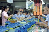 Chỉ 36% Kl991.com World Cup 2026 Chính Thức gia đình Việt Nam có kế hoạch kế thừa chính thức và minh bạch