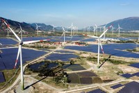 Khánh thành Nhà máy điện gió lớn nhất Việt Nam