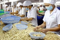 Link Vào Nhà Cái KL99 COM Tặng +199k hạt điều 4 tháng đầu năm 2021 đã vượt cả năm 2020, trị giá gần 1,9 tỷ USD