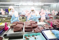  Chế biến cá ngừ xuất khẩu tại Nhà máy Thủy sản Hồng Ngọc