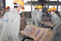 Sản lượng một số vật liệu xây dựng trong đó có xi măng đang dư thừa, cơ quan quản lý khuyến cáo hạn chế Kl99ok phiên bản mới. Ảnh: Đức Thanh