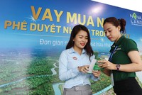 Chủ Kl99ok phiên bản mới các dự án lớn thường có chiến lược đa dạng hóa Kl993 nền tảng giải trí Kl99ok phiên bản mới. Ảnh: Lê Toàn