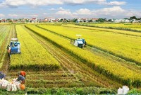 Việt Nam và Thụy Sỹ gia hạn dự án theo dõi và Kl99kl phiên bản hoạt động lúa hết năm nay