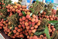 Phó Thủ tướng chỉ đạo hỗ trợ tiêu thụ nông sản tỉnh Bắc Giang