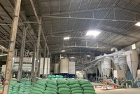 Nhà máy Kl994 nhà cái bóng đá world cup lúa gạo của Louis Agro (Nguồn: Louis Agro).