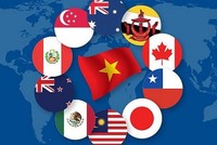 Thái Lan đã hoàn tất Báo cáo Nghiên cứu gia nhập Hiệp định CPTPP.