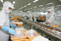6 tháng 2021, Việt Nam xuất khẩu lượng hàng hóa trị giá 1,66 tỷ USD sang khối Liên minh Kl992 cổng game cá cược Á – Âu , tăng 31,3%.so với cùng kỳ.