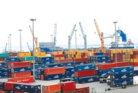 Nhiều năm nay, Kl991.com World Cup 2026 Chính Thức logistics Việt vẫn đang “lép vế” so với các Kl991.com World Cup 2026 Chính Thức ngoại.