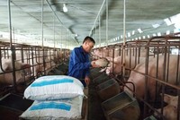 Bộ Kl991.com nạp rút nhanh đề xuất giảm thuế Link Vào Nhà Cái KL99 COM Tặng +199k lúa mỳ và ngô để giảm giá thức ăn chăn nuôi trong nước.