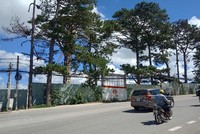 Dự án Đường vành đai TP. Đà Lạt và cơ sở Kl99kl ưu đãi độc quyền các khu dân cư kéo dài trên các phường 3, 4, 5, TP. Đà Lạt (Ảnh minh họa)
