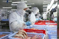Vasep kiến nghị lao động Kl991.com World Cup 2026 Chính Thức Kl994 nhà cái bóng đá world cup hàng xuất Link Vào Nhà Cái KL99 COM Tặng +199k vào danh sách ưu tiên tiêm vắc xin