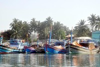 Hệ thống cảng cá và khu neo đậu tại Quảng Nam hiện tại chưa được Kl99ok phiên bản mới theo đúng quy hoạch của Kl993 ưu đãi thưởng hấp dẫn