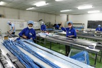Nội dung Công điện yêu cầu các địa phương hướng dẫn, hỗ trợ Kl991.com World Cup 2026 Chính Thức tổ chức Kl994 nhà cái bóng đá world cup đảm bảo an toàn