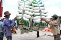 Xuất khẩu gạo tiếp tục gặp khó khăn do cảng Tân Cảng Hiệp Phước tạm ngừng dịch vụ đóng rút gạo
