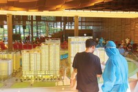 Nhiều chủ Kl99ok phiên bản mới đã chuẩn bị sẵn nguồn hàng để tung ra thị trường khi dịch được khống chế. Ảnh: Lê Toàn