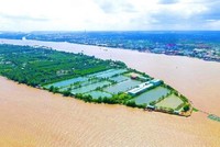 Kl994 game bài casino hấp dẫn T&T đề xuất Kl99ok phiên bản mới Dự án phát triển khu vực Cồn Sơn (phường Bùi Hữu Nghĩa, quận Bình Thủy, TP. Cần Thơ)