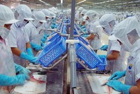  VASEP đề xuất tăng khung giờ làm thêm tối đa trong 1 năm từ 300 giờ lên 400 giờ không phụ thuộc vào ngành nghề Kl994 nhà cái bóng đá world cup
