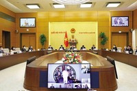 Chủ tịch Quốc hội làm việc trực tuyến với Đoàn Đại biểu cấp cao Hội đồng Kl992 VIP Trang Chủ 2026 Hoa Kỳ - ASEAN.