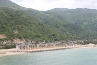 Sở Xây dựng Khánh Hòa giải trình gì sau kết luận của Kiểm toán 99Kl99 trực tiếp đá gà?