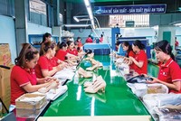 Ngành Kl994 nhà cái bóng đá world cup da giày sẽ chịu tác động không nhỏ của Luật Bảo vệ môi trường 2020.