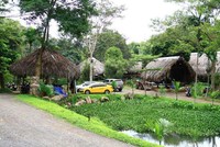 Nhiều nhà Kl99ok phiên bản mới săn đất Tây Nguyên để làm homestay, farmstay hay second home. Ảnh: Thành Nguyễn