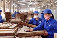 Kl994 nhà cái bóng đá world cup gỗ tại Gỗ Trường Thành