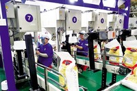 Đang đà tăng giá, Nông nghiệp công nghệ Trung An (TAR) có thêm Trang Chủ KL99Com Số 1 Link Đăng Ký KL999 mua hơn 1 triệu KL99 là cổng game giải trí trực tuyến hàng đầu hiện nay