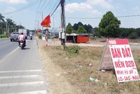 Rao bán đất dọc tuyến đường dẫn đến Khu tái định cư Lộc An - Bình Sơn. Ảnh: Việt Dũng