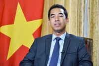 Thứ trưởng Ngoại giao Tô Anh Dũng (Ảnh: BNG)