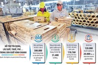 Vấn đề đặt ra hiện nay là làm thế nào để bắt kịp nhịp xu thế mới, bởi nhiều Kl991.com World Cup 2026 Chính Thức Việt Nam dù đã được hỗ trợ, nhưng vẫn khá vất vả tìm cửa phục hồi. Đồ họa: Đan Nguyễn