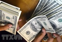 Đồng 100 USD. (Ảnh: AFP/TTXVN)